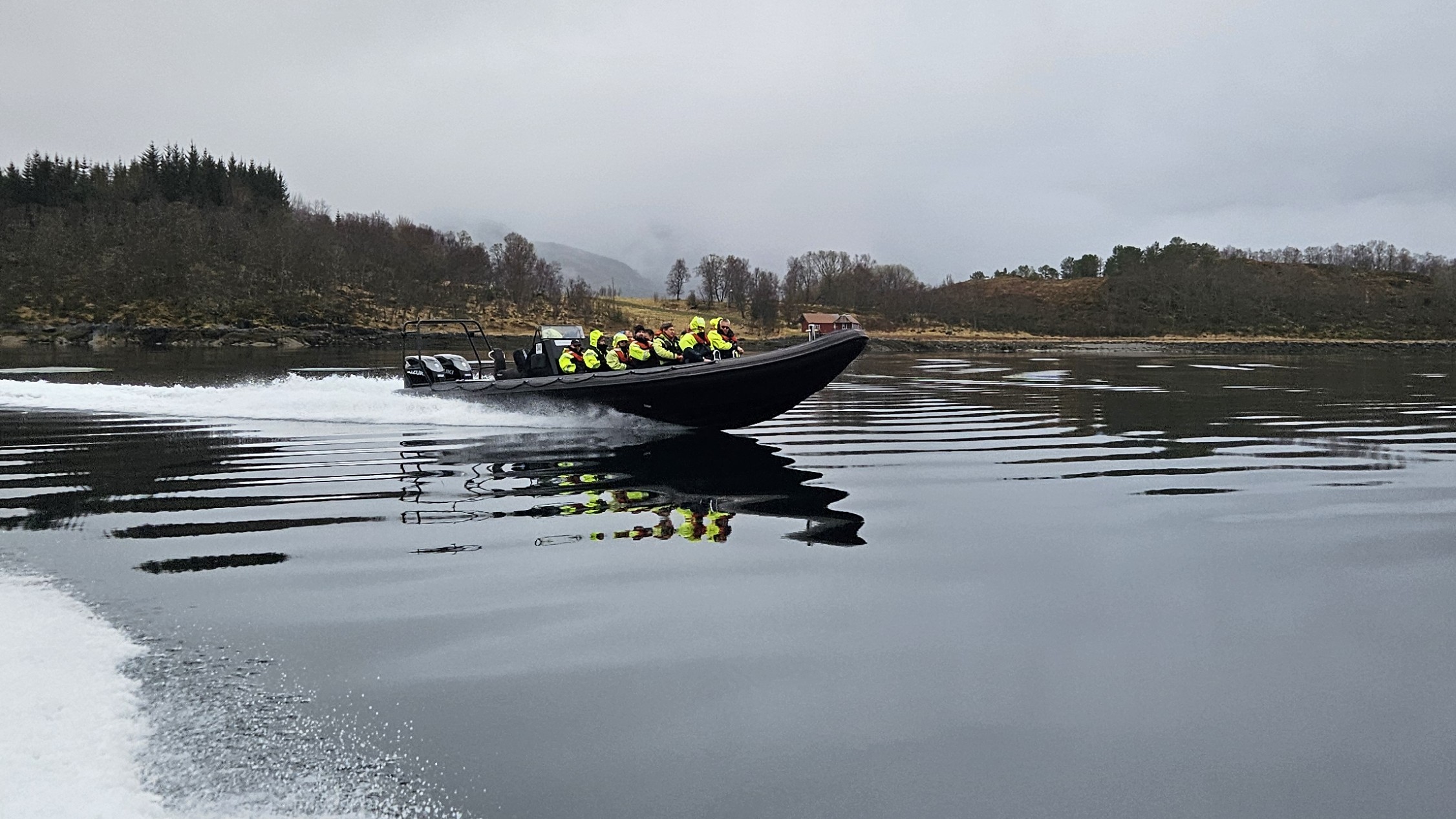 A rib at full speed