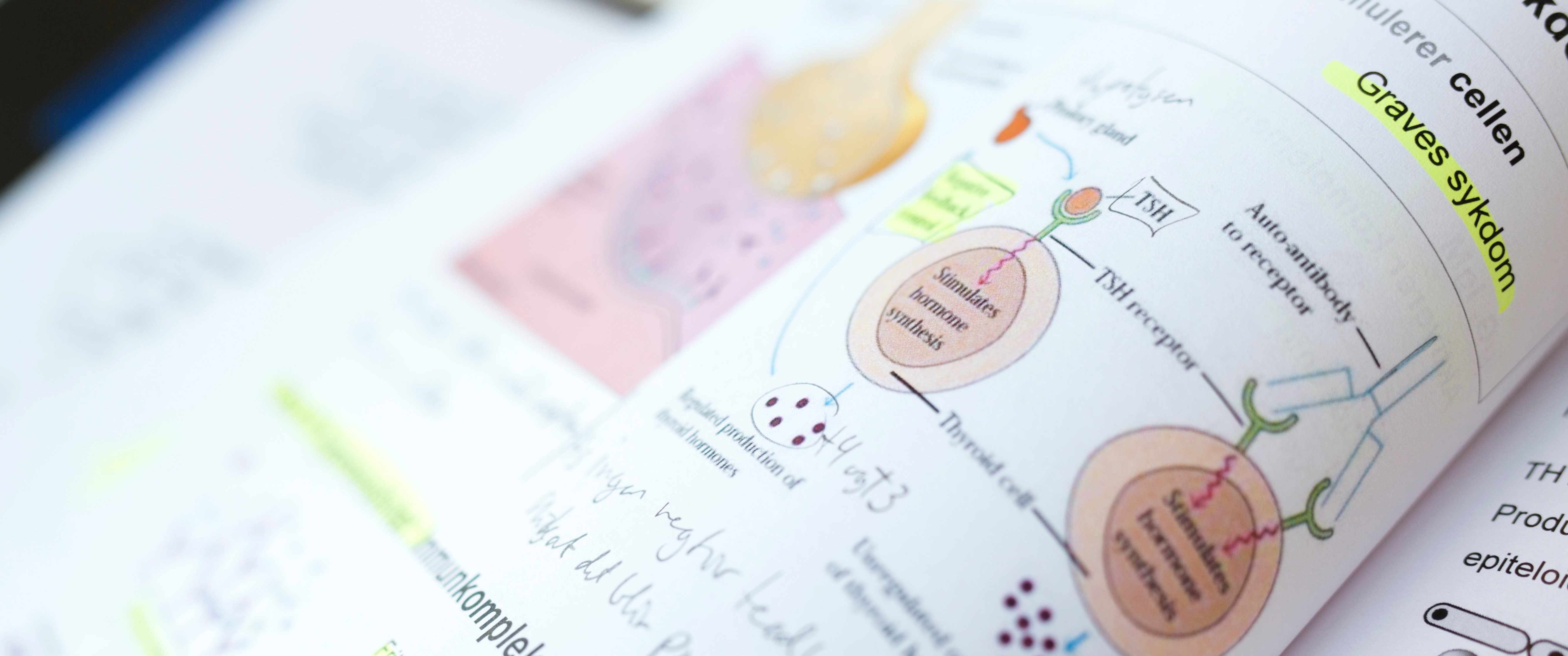 Nærbilde av en side med notater i en lærebok i bioingeniørfaget. 