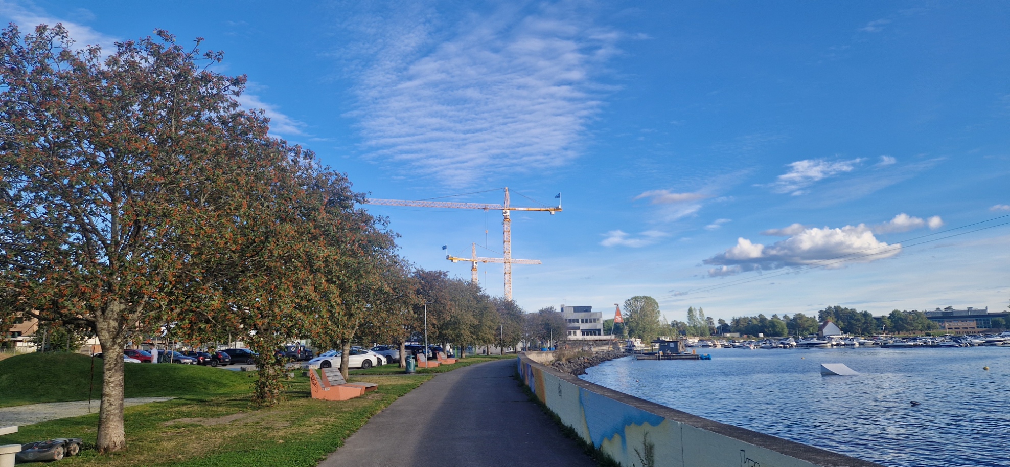 Bilde tatt bortover gangvei langs Mjøskanten. Trær til venstre for gangveien, og Mjøsa til høyre. Blå himmel og kraner i det fjerne.